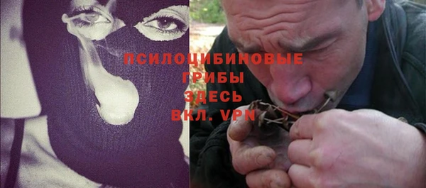 шишки Кодинск