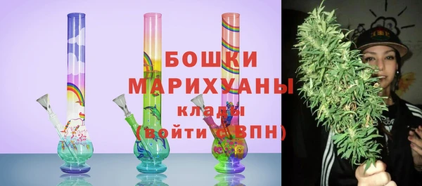 шишки Кодинск