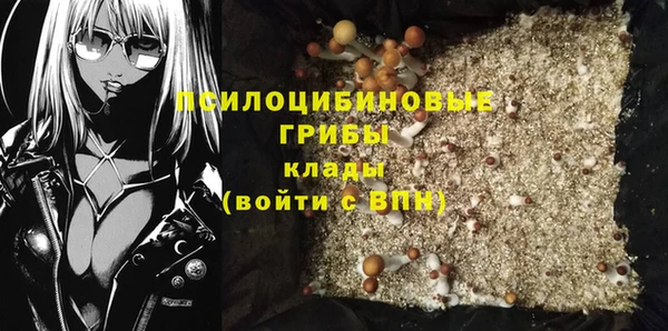 мдпв Козельск