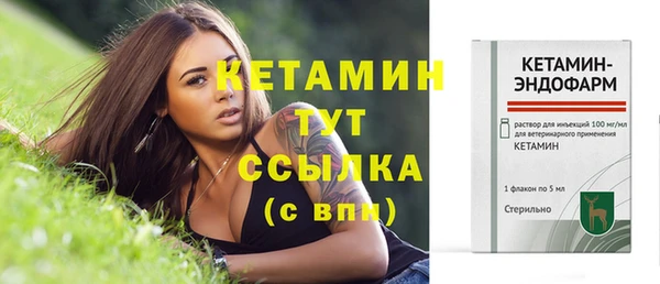 шишки Кодинск