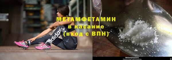 шишки Кодинск