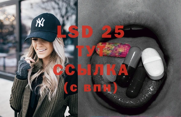 шишки Кодинск