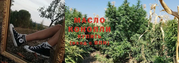 шишки Кодинск