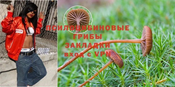 гашишное масло Козловка