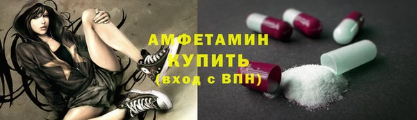 мдпв Козельск