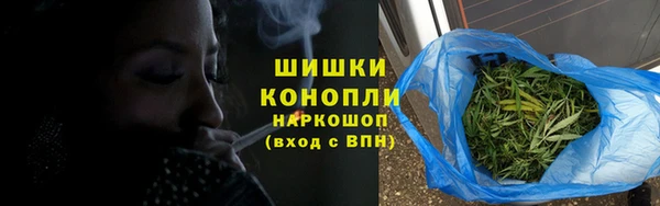 мдпв Козельск