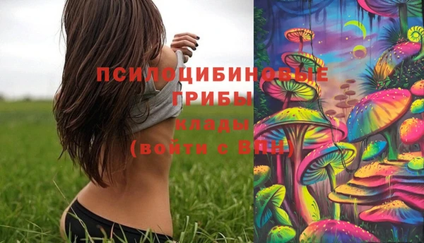 мдпв Козельск