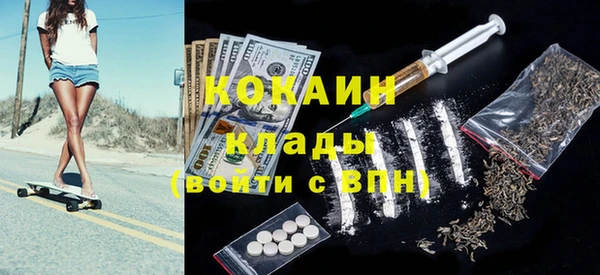 шишки Кодинск