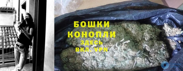 шишки Кодинск