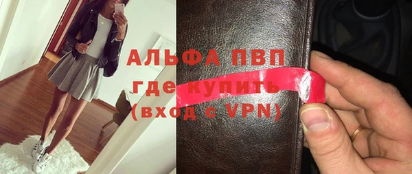 шишки Кодинск
