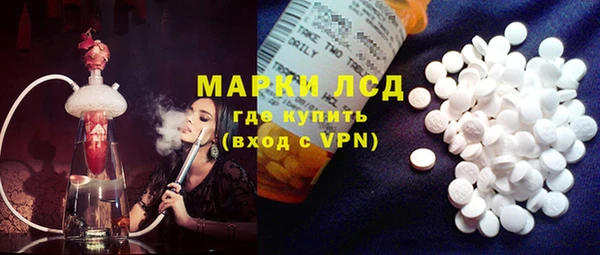 шишки Кодинск