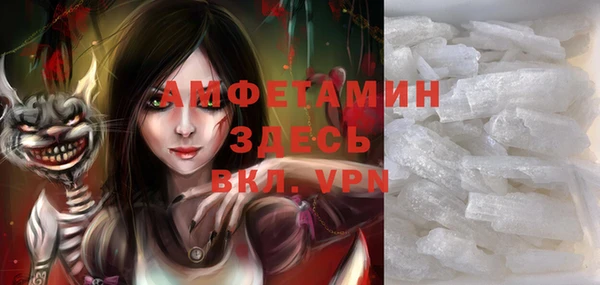 шишки Кодинск