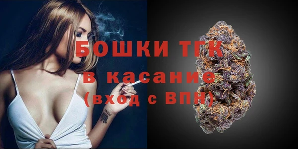 мдпв Козельск